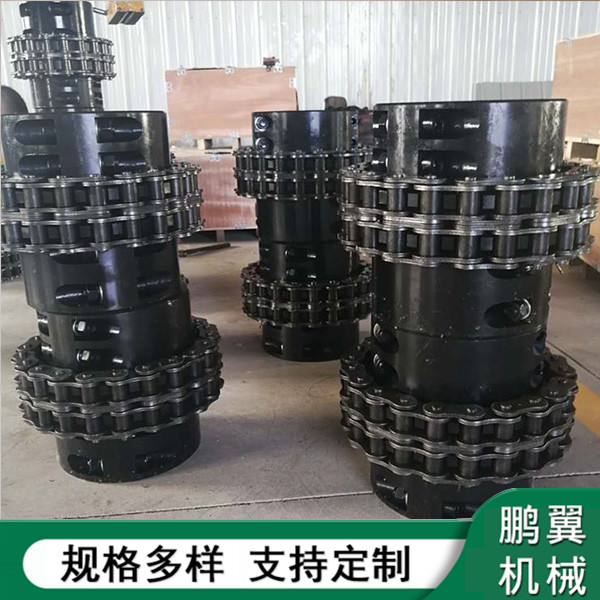 江蘇加緊式鏈條聯(lián)軸器